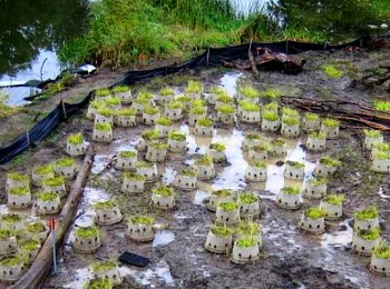 Salmon River Wetland Creation, Shannonville, Ontario