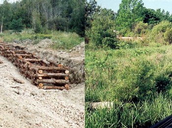 (2003-2004) Pottageville Creek Tributary